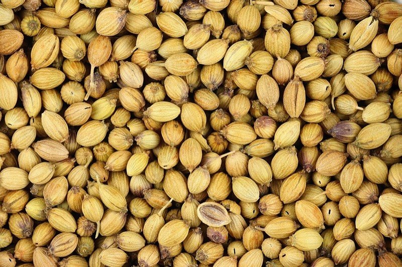 Dhana Jiru (Coriander–Cumin)