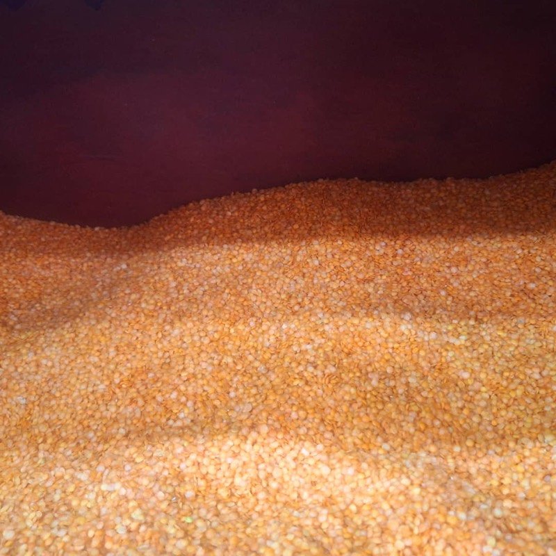 Masoor Dal (Red)