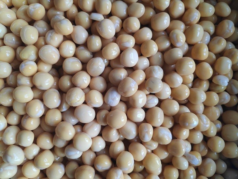 White Vatana (Safed)